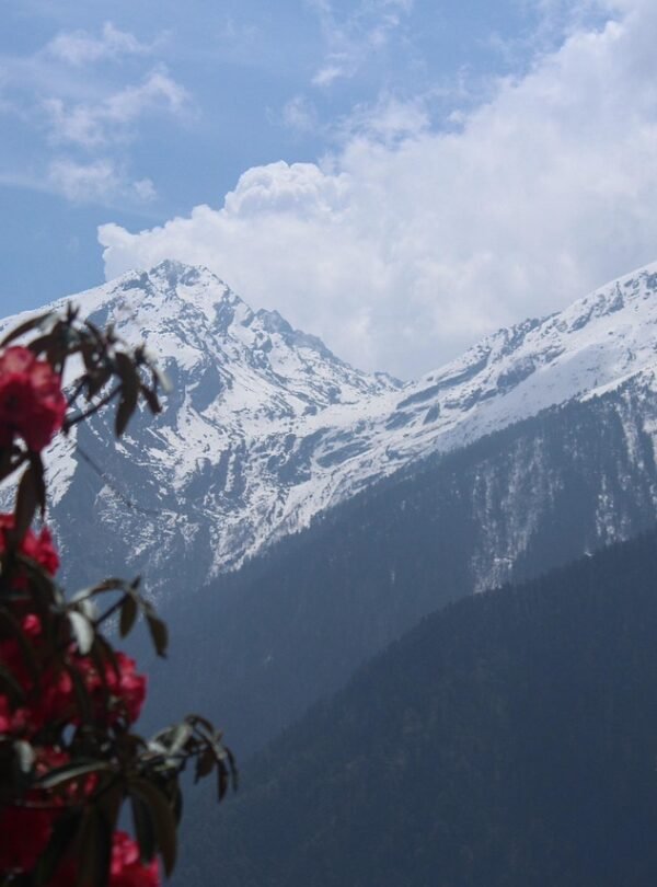 nepal, trekking, nepal trekking, trek, trekker, nature, snow, adventure, moun, mountain, hiker, hiking, travel, altitude