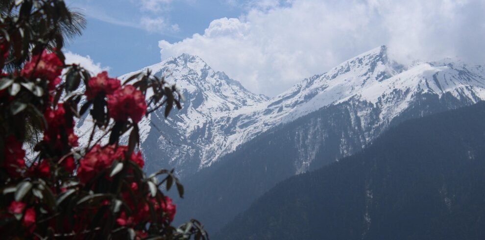 nepal, trekking, nepal trekking, trek, trekker, nature, snow, adventure, moun, mountain, hiker, hiking, travel, altitude