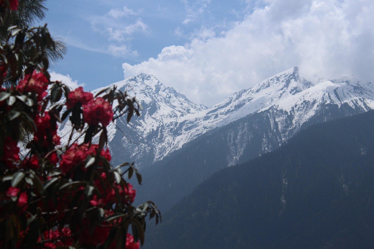 nepal, trekking, nepal trekking, trek, trekker, nature, snow, adventure, moun, mountain, hiker, hiking, travel, altitude